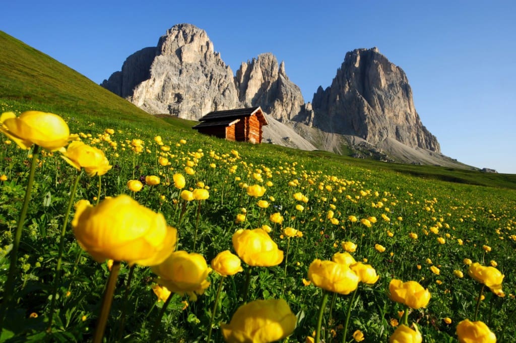 Canazei chalet mountains