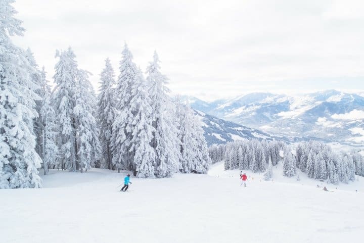 Two skiers descend a snowy mountain slope surrounded by trees. 