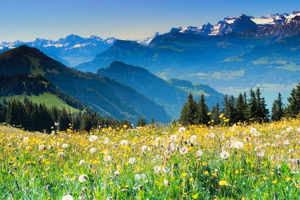 Summer in the Alps