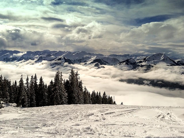 panoramic view of snowy mountains and pine trees above the clouds