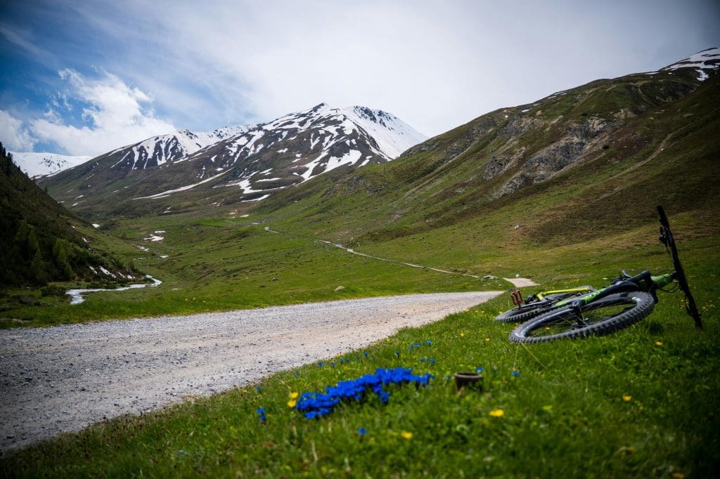 A bike laid down in the grass overlooking the Alps