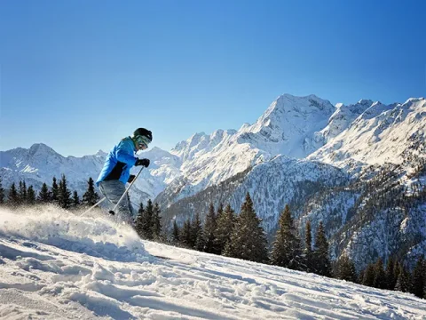 Aprica Transfers