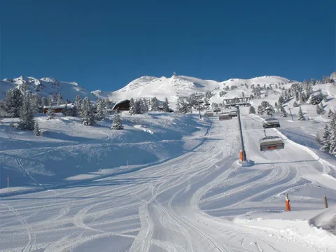 Kaltenbach Transfers