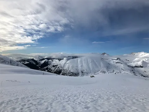 La Joue du Loup Transfers