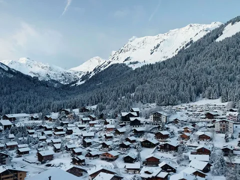 Morgins Transfers