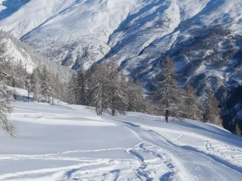 Serre Chevalier Transfers